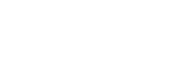 DressX